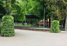 В парке им. Чекмана появились две цветочные пирамиды