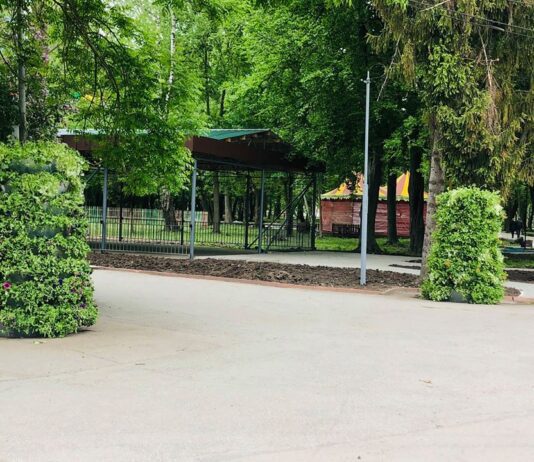 В парке им. Чекмана появились две цветочные пирамиды