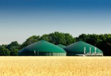 Крупнейшая в мире биогазовая станция заработала в Хмельницкой области
