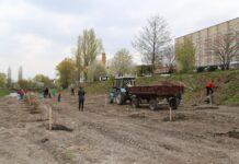 Хмельничани можуть взяти участь у конкурсі малюнку «Озеленення України»