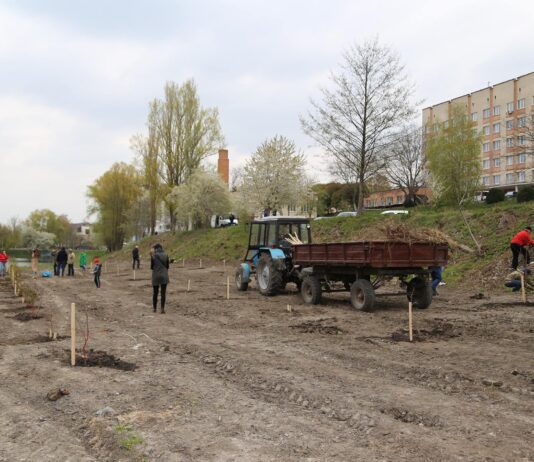 Хмельничани можуть взяти участь у конкурсі малюнку «Озеленення України»