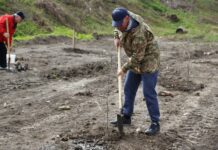 В Хмельницком планируют высадить 10 000 деревьев