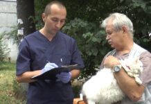 У Хмельницькому вакцинували домашніх тварин від сказу
