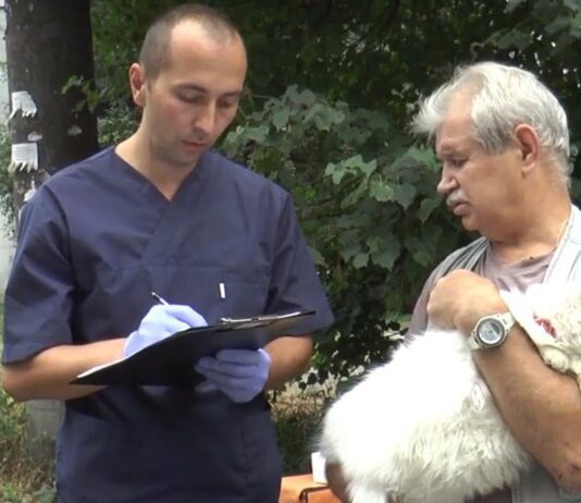В Хмельницком вакцинировали домашних животных от бешенства