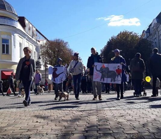 У Хмельницькому відбудеться Всеукраїнський марш за тварин