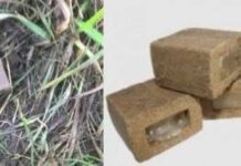 На Хмельниччині розпочали розкидати з літаків вакцини від сказу