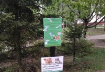 На Озерній встановили урну для прибирання за тваринами