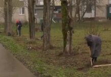 Ко Дню окружающей среды Хмельницкий планируют озеленить