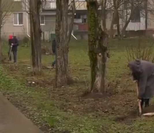 До Дня довкілля озеленюють Хмельницький