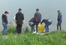 В водоем на Озерной выпустили сотню килограммов толстолоба и коропа