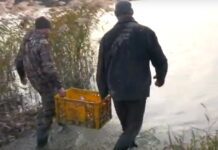 В Южный Буг и водоем на Озерной выпустили почти полтонны рыбы