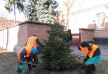 Новогодняя елка Хмельницкого городского совета станет украшением родного города