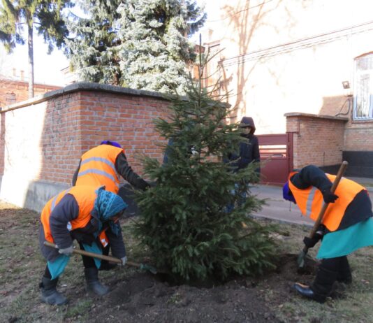 Новогодняя елка Хмельницкого городского совета станет украшением родного города