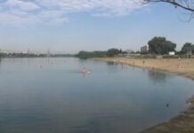 Рыба и полезные водоросли очистили воду в Южном Буге
