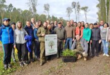В Хмельницкой области высадили 35000 саженцев