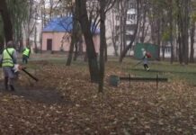 Куда в Хмельницком вывозят опавшую листву