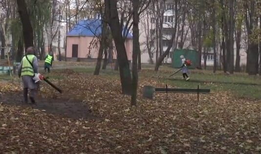 Куда в Хмельницком вывозят опавшую листву