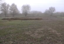 В Хмельницком появится площадка для выгула собак