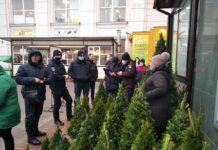 В Хмельницком обнаружили 7 «елочных браконьеров»