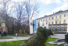 У Хмельницькому відновлять пошкоджені топіарії