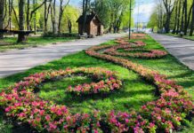 В парке им. Чекмана высадят более 10 000 цветов