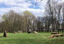 В микрорайоне Озерная в этом году появится площадка для выгула собак
