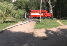 В парке им. Чекмана чистят водоем