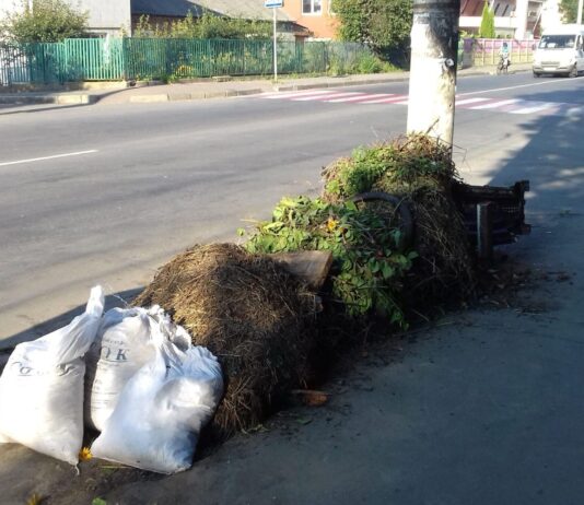 Хмельничан штрафуватимуть за спалювання листя та «зелених відходів»