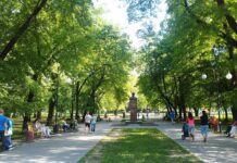 Хмельничане могут принять участие в опросе по приоритетным экологическим проблемам города