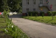 В Хмельницком возле школы высадили калиновую аллею