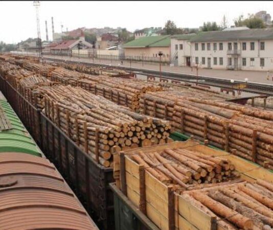 С Хмельницкой области лес вывозят вагонами по всей Украине вивіз дерев