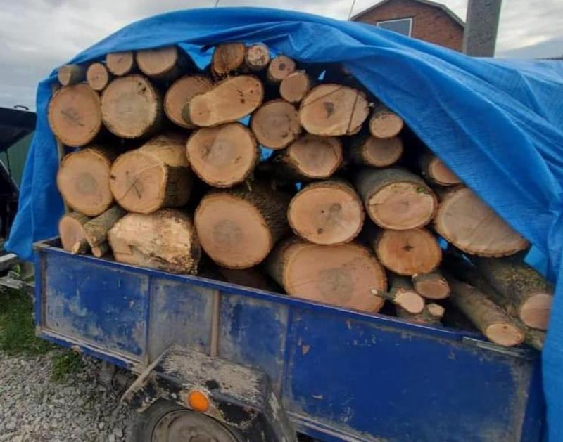 вирубали дерева