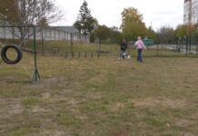 «Территория собак» в микрорайоне Дубово: вторая площадка для выгула домашних животных в Хмельницком