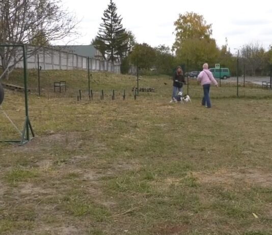 «Территория собак» в микрорайоне Дубово: вторая площадка для выгула домашних животных в Хмельницком