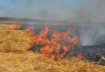 Поджигатели сухой травы в Хмельницкой области заплатят штраф