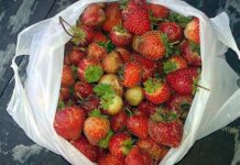 Чи готові хмельницькі супермаркети відмовитись від пластикових пакетів