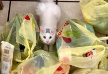 Экоакция в Хмельницком: хмельничане сдали более 100 килограммов полиэтилена
