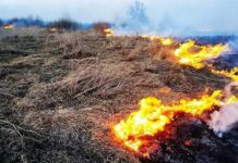 В Хмельницкой области пылает сухая растительность