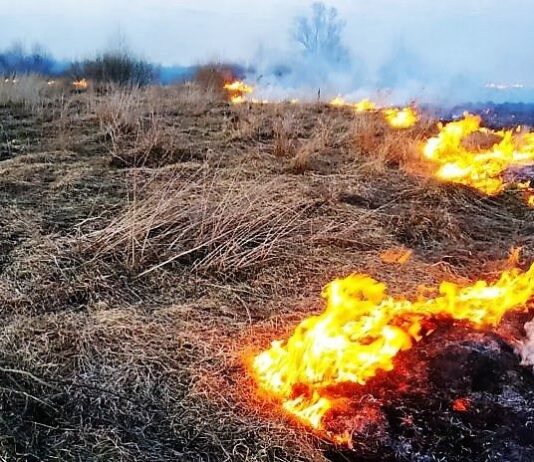 В Хмельницкой области пылает сухая растительность