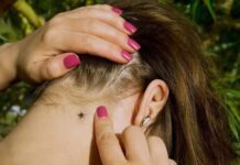 В Хмельницкой области активизировались клещи: как защитить ребенка