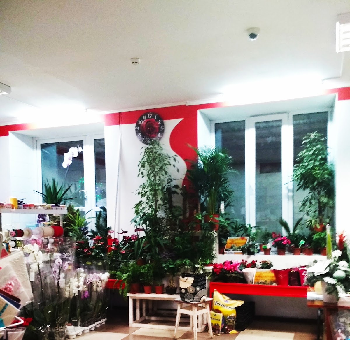 Магазин Цветов Амелия — Florist